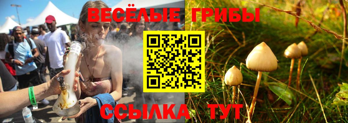 Галлюциногенные грибы Magic Shrooms Белгород